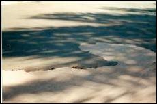 Before and After Photoes