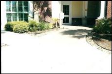 Before and After Photoes