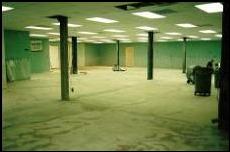 Before and After Photoes