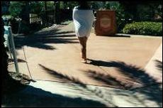 Before and After Photoes