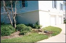 Before and After Photoes