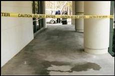 Before and After Photoes