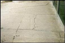 Before and After Photoes