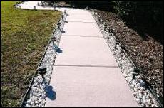 Before and After Photoes