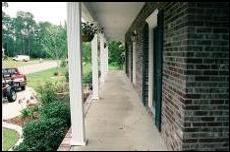 Before and After Photoes