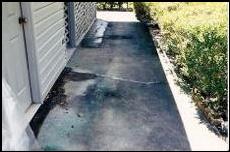 Before and After Photoes