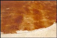 Before and After Photoes